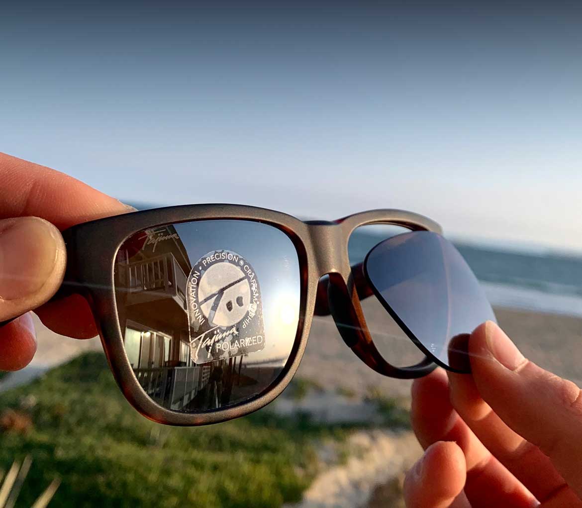 Serengeti Replacement Lenses Tajima Direct